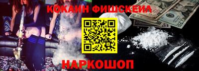 индика Можга