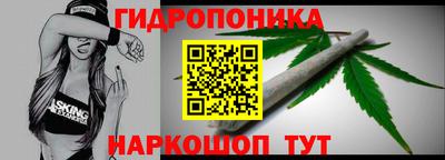 индика Можга