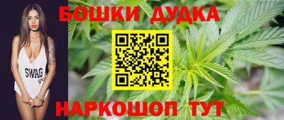 индика Можга