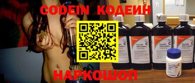 индика Можга