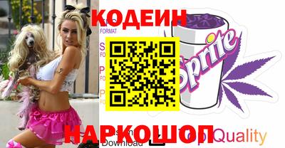 индика Можга