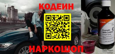 индика Можга