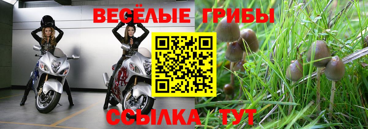Псилоцибиновые грибы Cubensis  Вход с VPN  Псилоцибиновые грибы GOLDEN TEACHER  Ангарск 